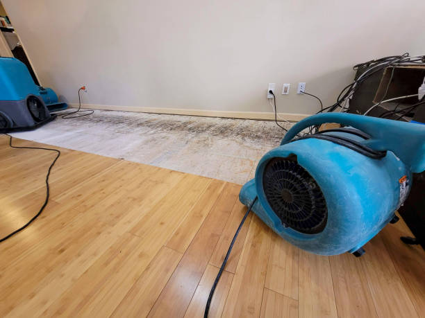 Professional Water Damage Repair technician working in Bolingbrook, IL